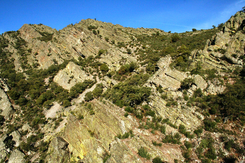 Spanyolország vadászat