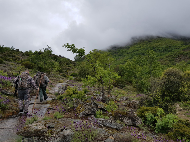 Spanyolország vadászat