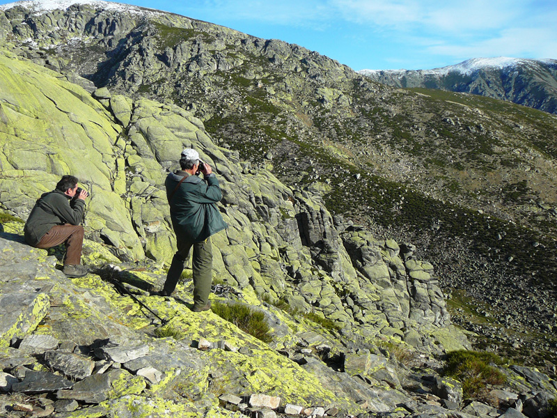 Spanyolország vadászat