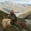 Új-Zéland vadászat, himalájai tahr