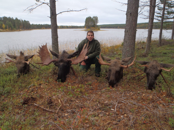 Jávor vadászat Svédországban