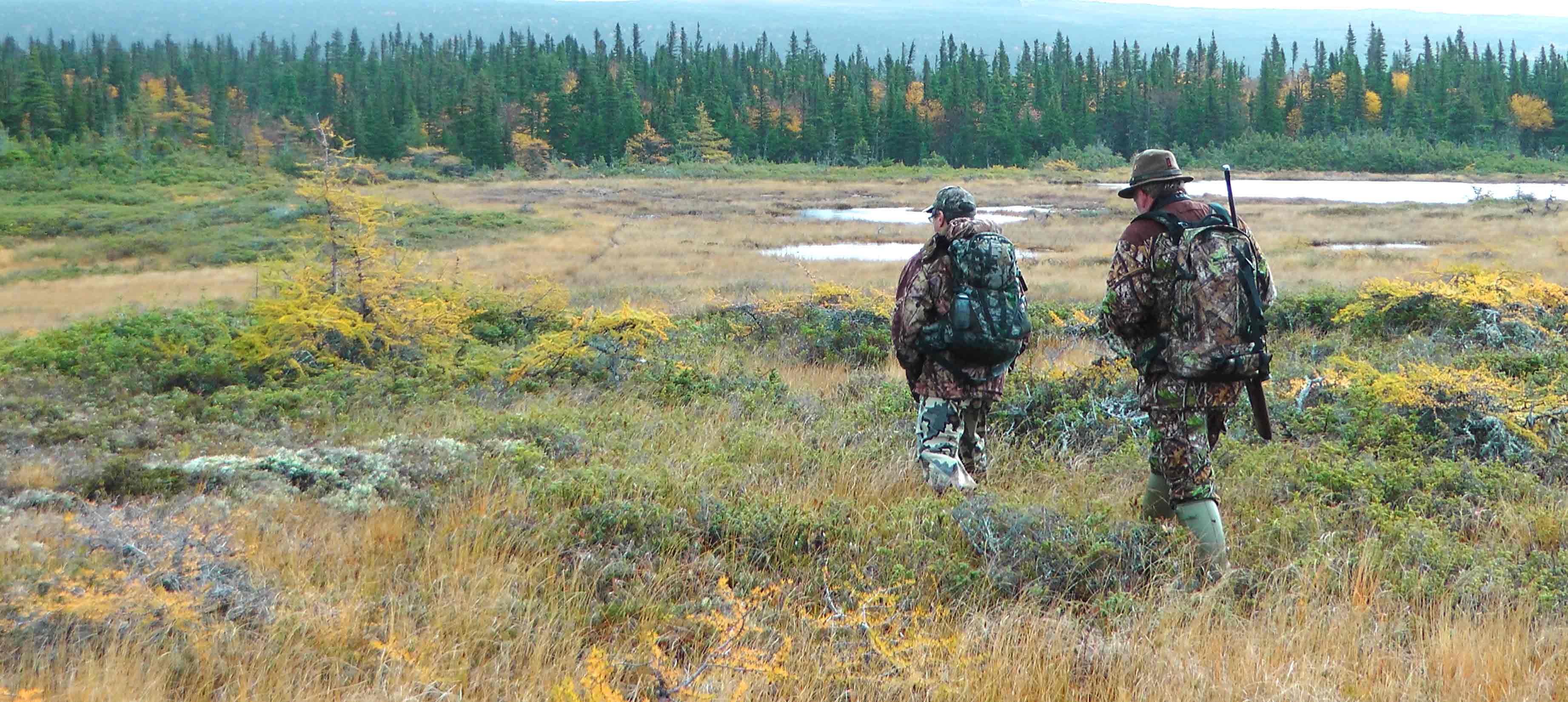 vadász videó Új-Fundland dvd