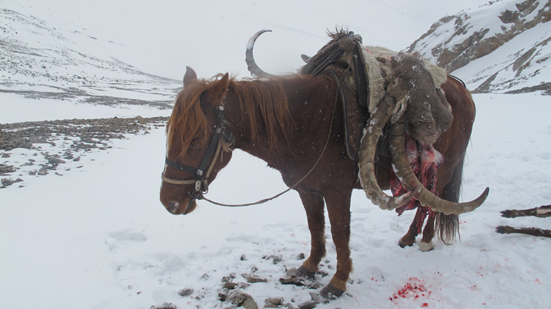 Kirgizisztán vadászat