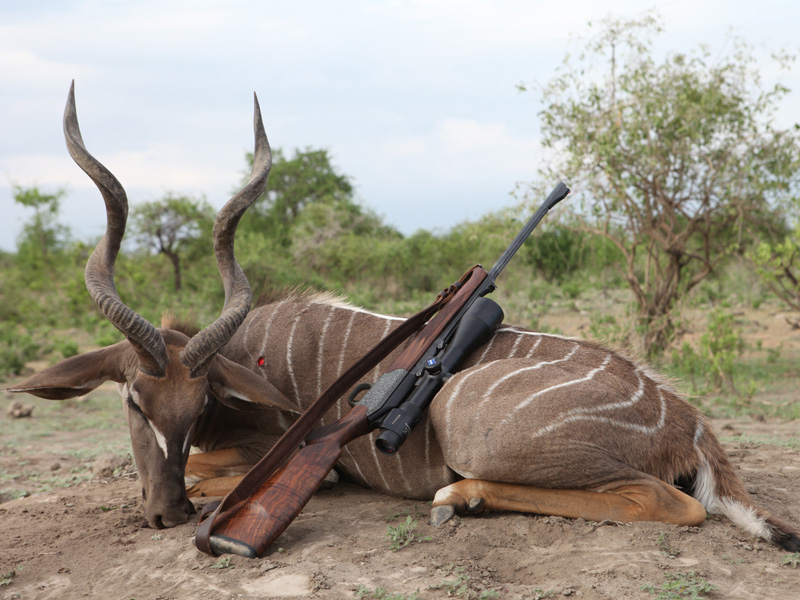 Tanzánia antilop vadászat, Maszályföld
