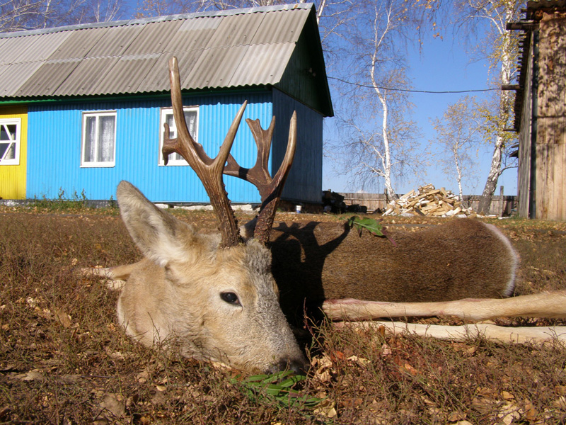 Vadászutak