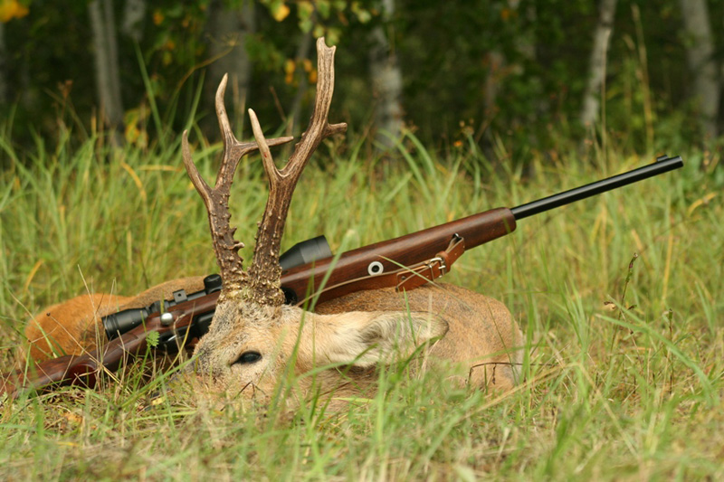 Oroszország Szibériai őzbak vadászat