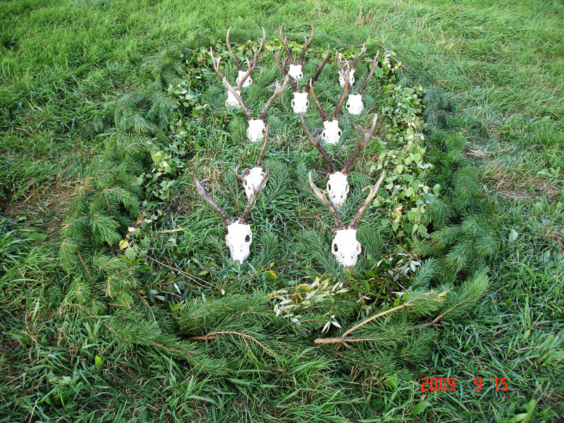 Vadászutak