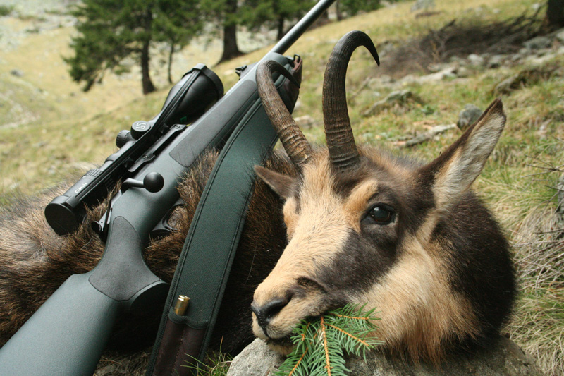 Románia vadászat