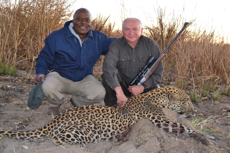 Zimbabwe leopárd vadászat