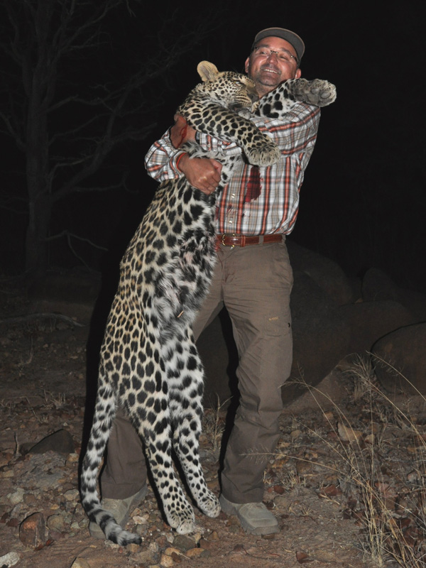 Zimbabwe leopárd vadászat