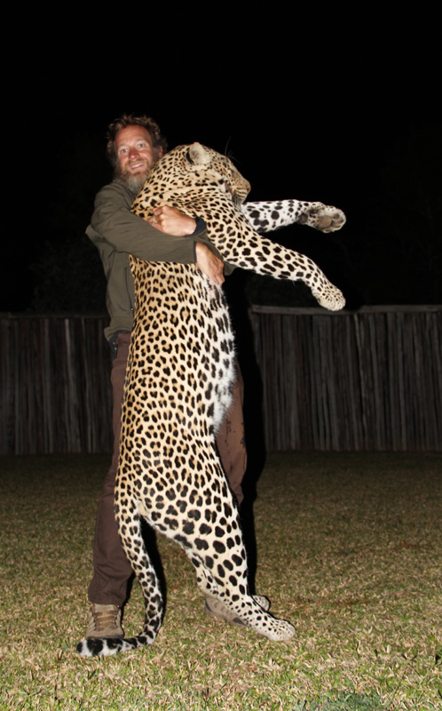 Zimbabwe leopárd vadászat