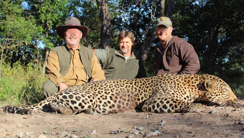 Zimbabwe leopárd vadászat