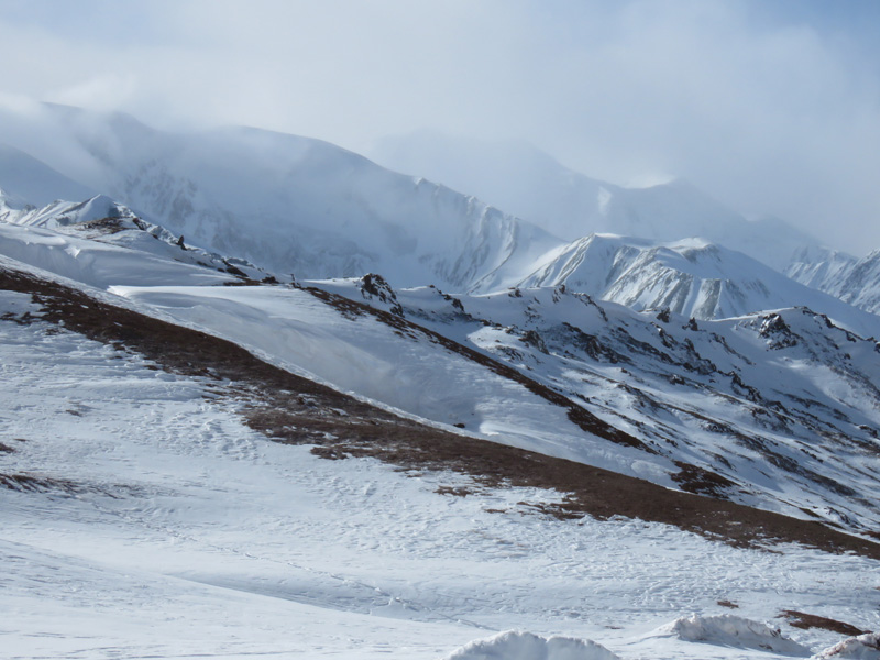 Tádzsikisztán vadászat, marco polo