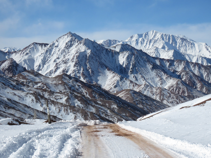 Tádzsikisztán vadászat, marco polo