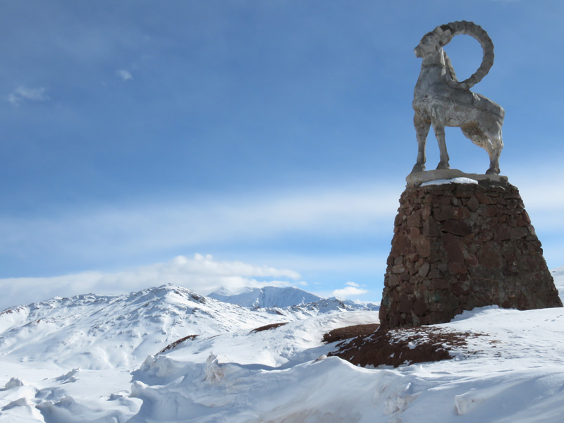 Tádzsikisztán vadászat, marco polo