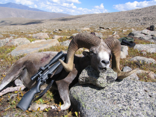 Mongólia argali vadászat