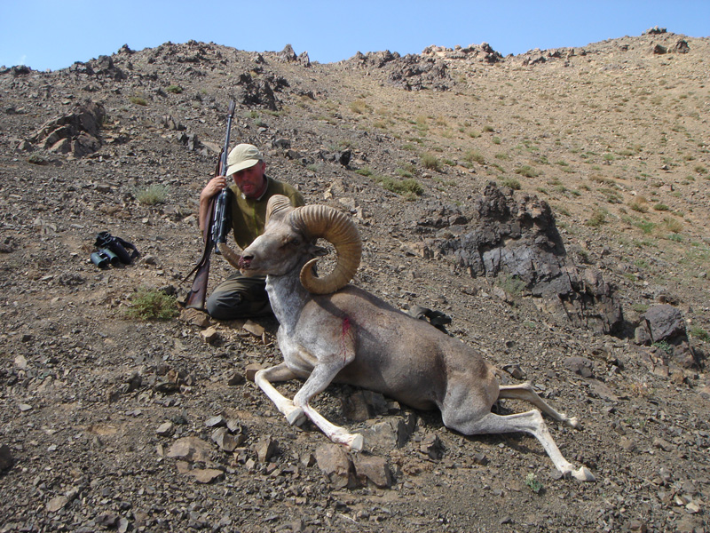 Mongólia argali vadászat