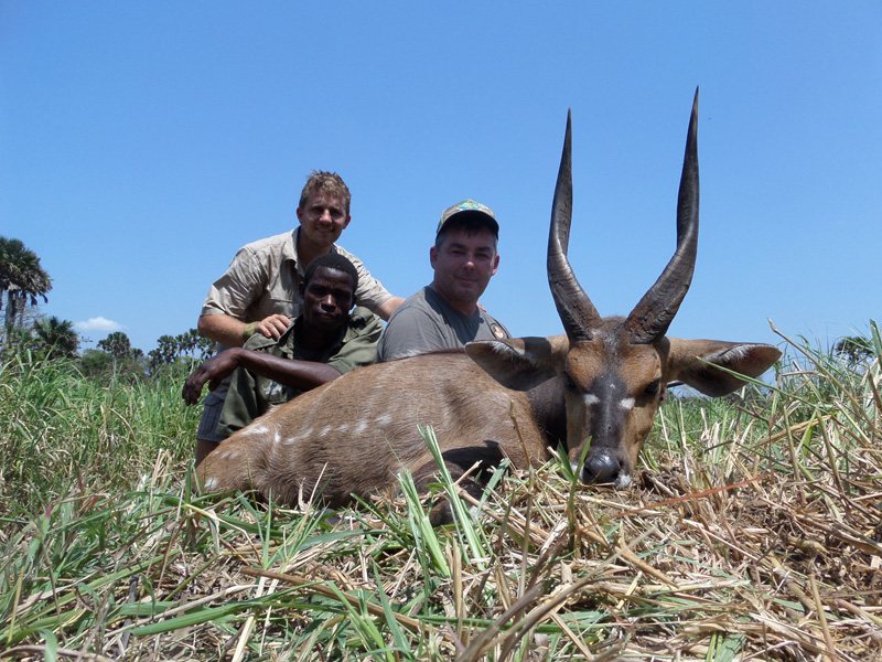 Mozambik kafferbivaly és antilop vadászat