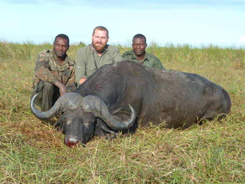 Mozambik kafferbivaly vadászat