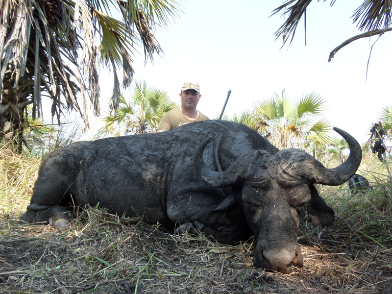 Mozambik kafferbivaly vadászat