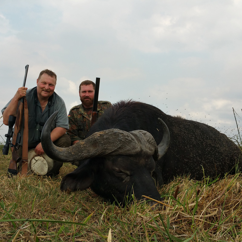 Mozambik kafferbivaly vadászat