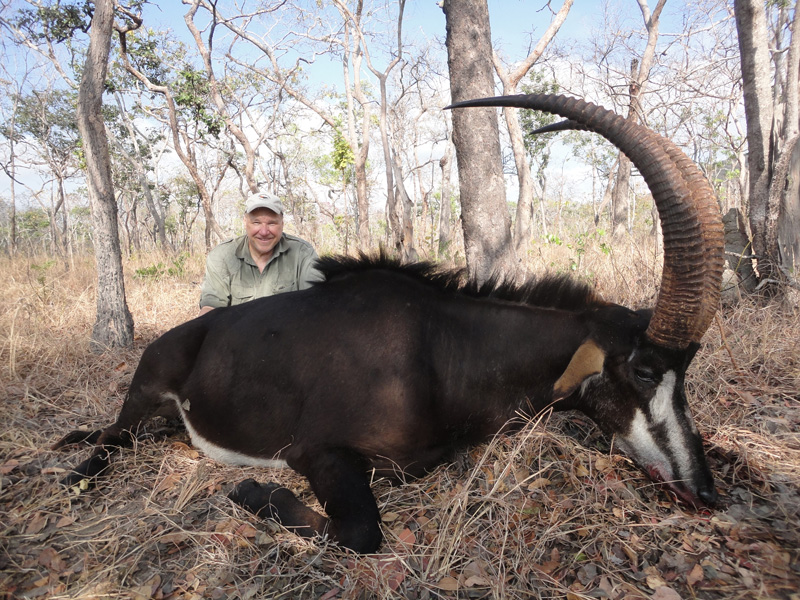 Mozambik kafferbivaly és antilop vadászat