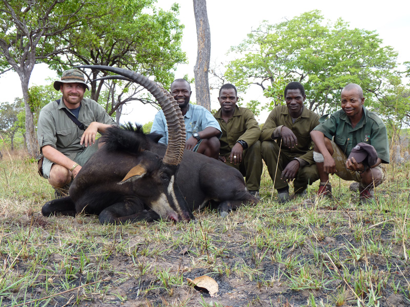 Mozambik kafferbivaly és antilop vadászat
