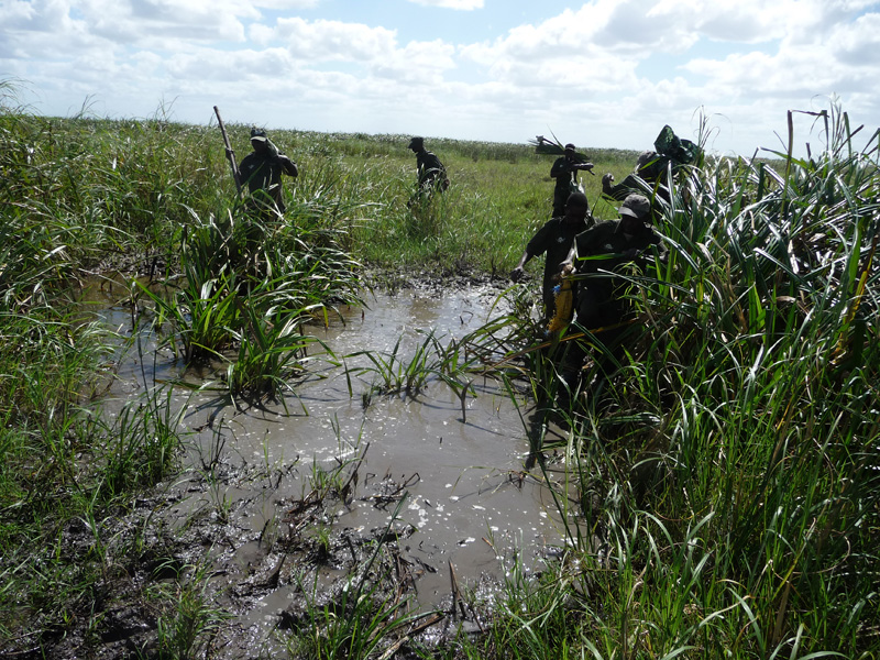 Mozambik kafferbivaly és antilop vadászat