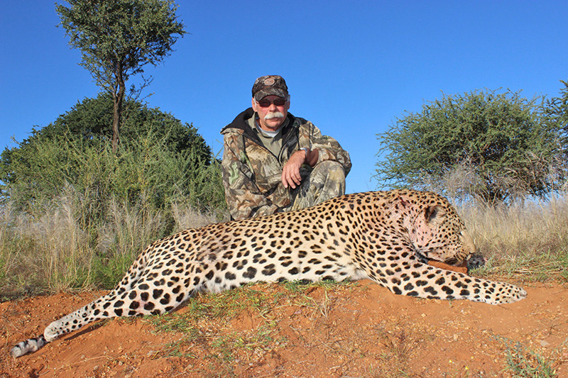 Namíbia oroszlán, leopárd, gepárd vadászat