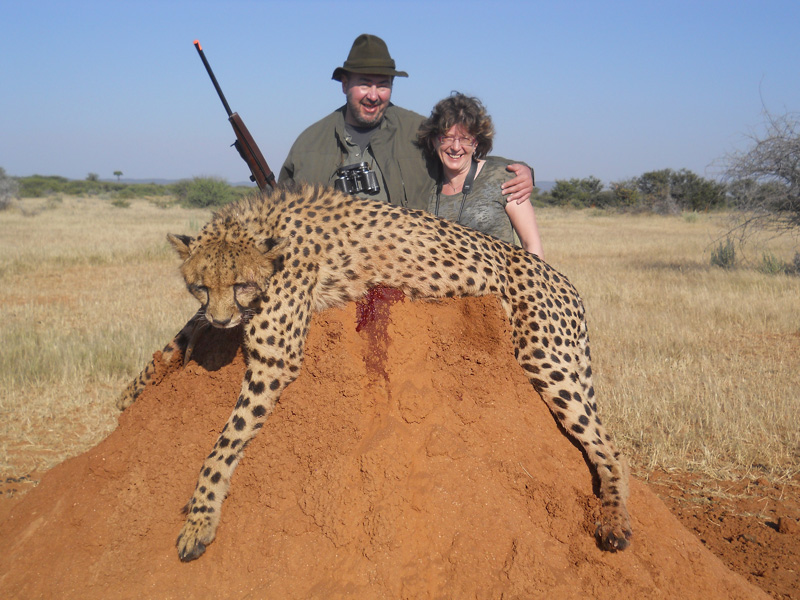 Namíbia oroszlán, leopárd, gepárd vadászat