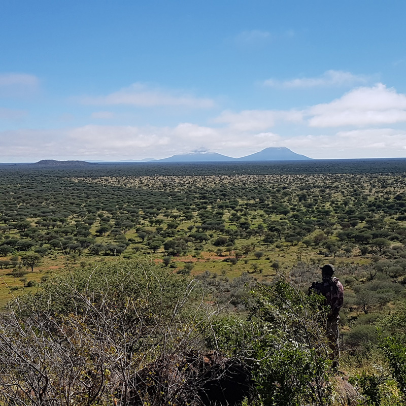 Namíbia vadászat