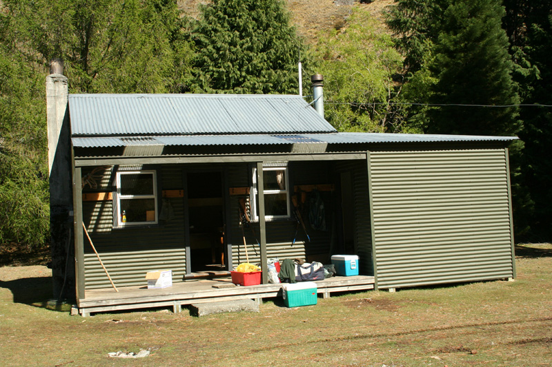 Új-Zéland vadászat, himalájai tahr