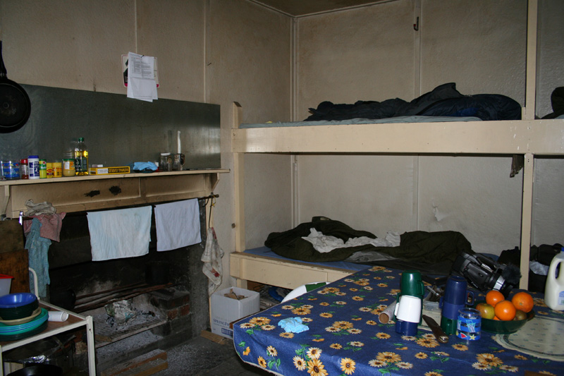 Új-Zéland vadászat, himalájai tahr