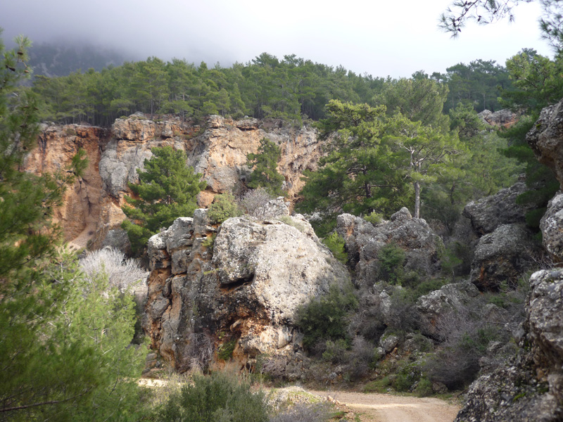Törökország vadászat