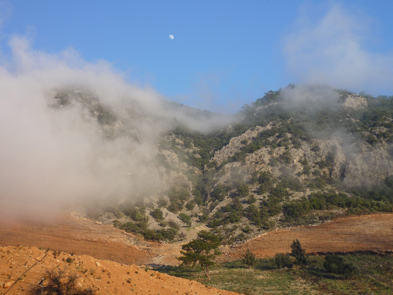 Törökország vadászat