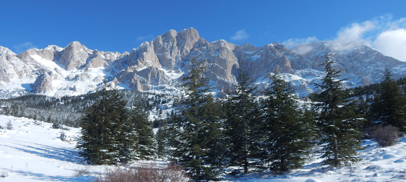 Törökország vadászat