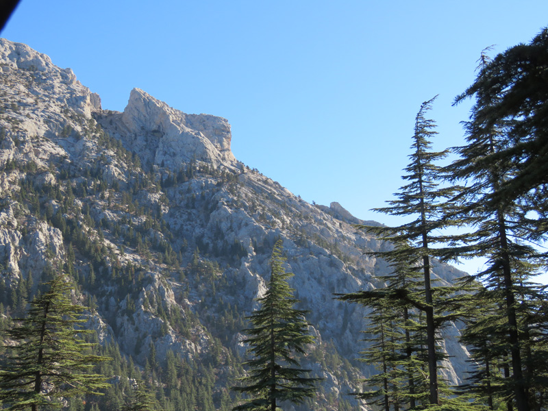 Törökország vadászat