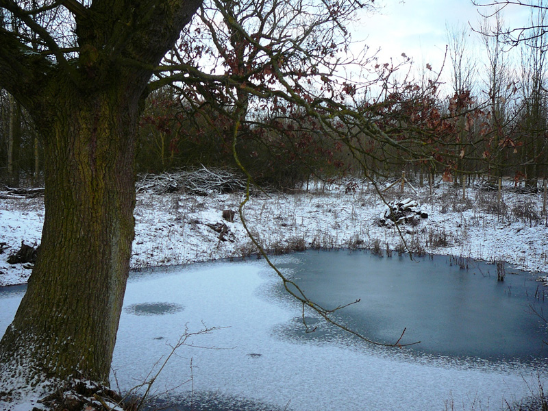 Vadászutak
