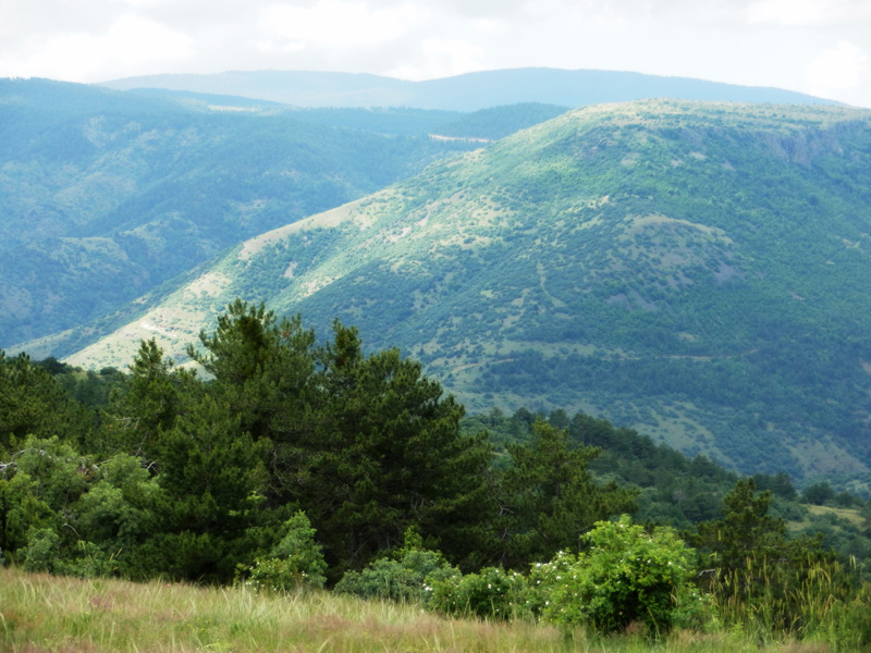 Törökország vadászat