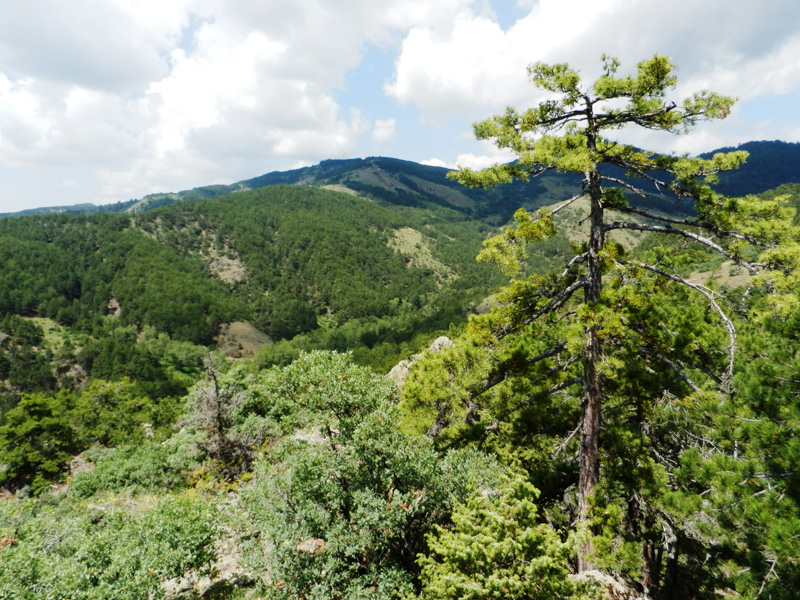Törökország vadászat