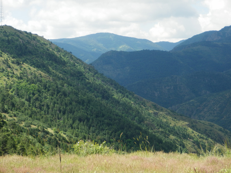 Törökország vadászat