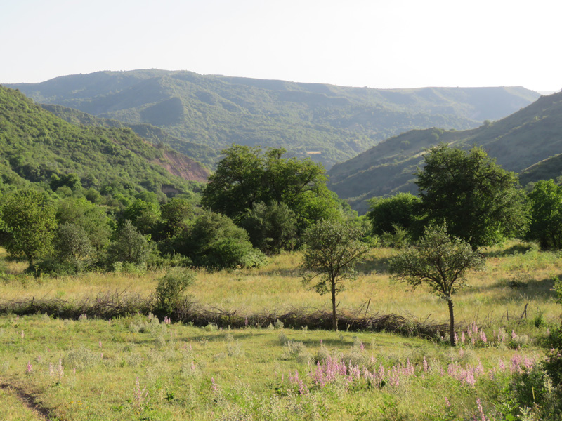 Tádzsikisztán vadkan vadászat