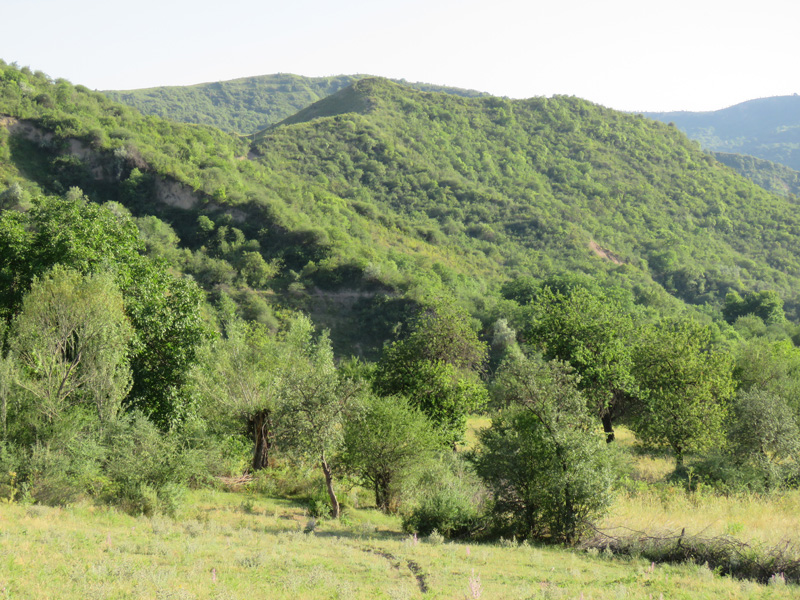 Tádzsikisztán vadkan vadászat