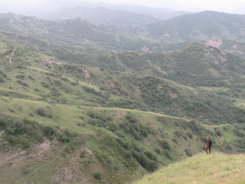 Tádzsikisztán vadkan vadászat