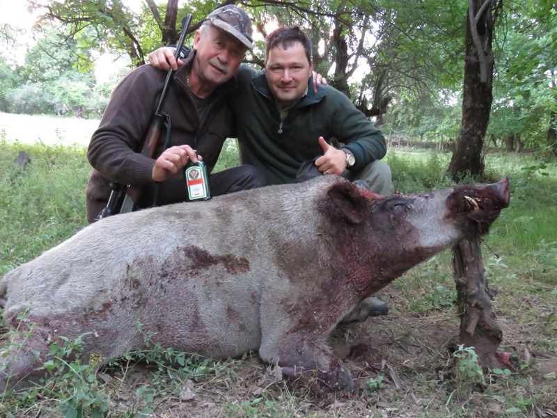 Tádzsikisztán vadkan vadászat