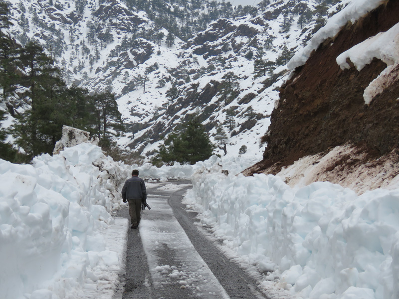 Törökország vadászat