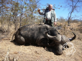 Dél-Afrika kafferbivaly vadászat