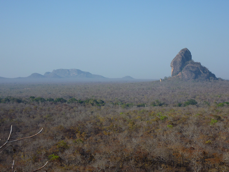 Mozambik vadászat