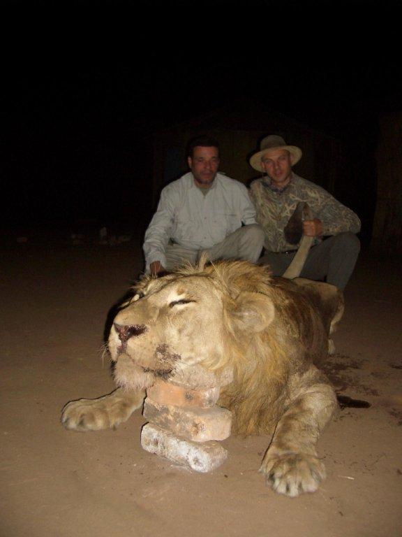 Oroszlán vadászat Zimbabwe