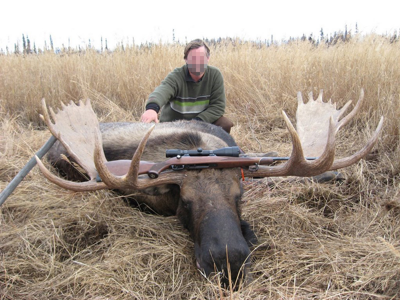 Alaszka - jávorszarvas